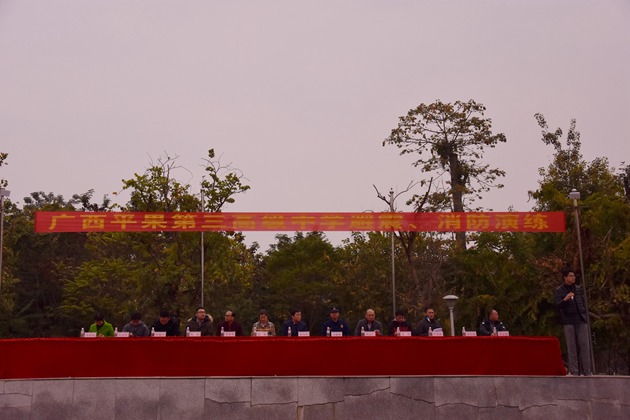 124.jpg