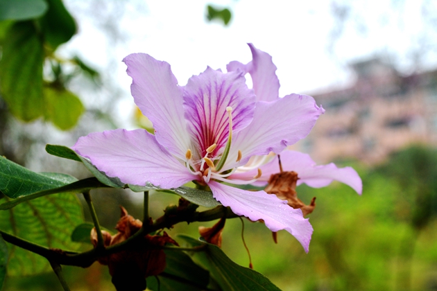 DSC_0083.jpg