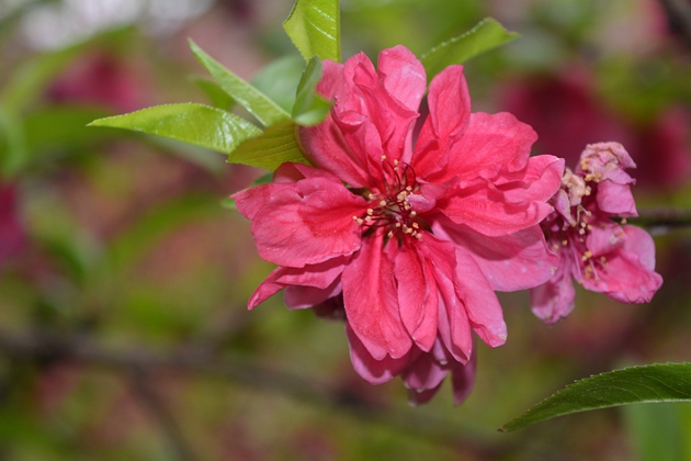 DSC_0135.jpg