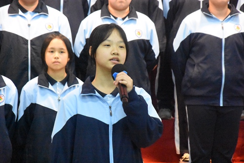 DSC_8247.jpg