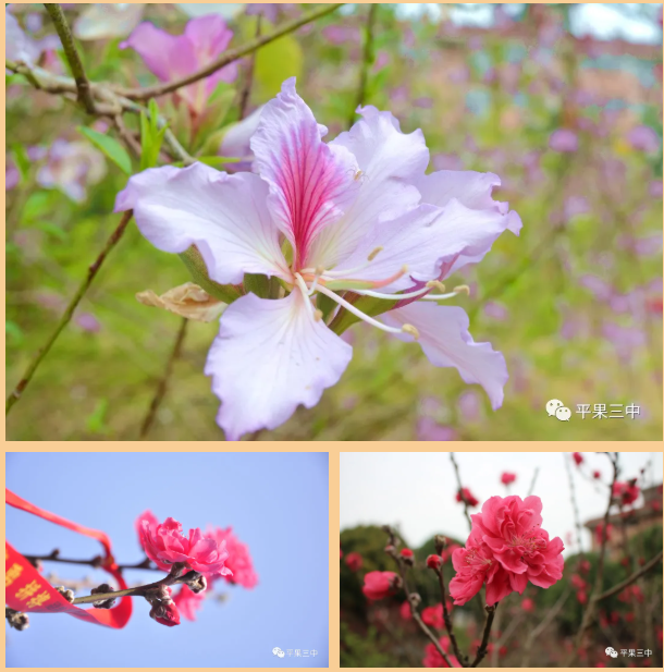 {1C558205-FFD1-49cc-A35E-416BB5F45985}.png